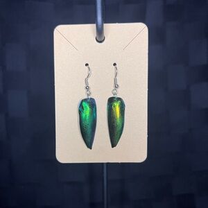 Jewel beetle earrings Handmade by me ethically sourced